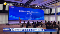 秦创原总窗口发布大会在西咸新区举行