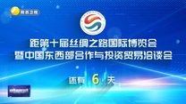 丝博会倒计时6天