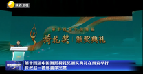 第十四届中国舞蹈荷花奖颁奖典礼在西安举行  张政赵一德邢善萍出席