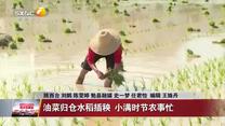 晚间新闻站 (2026-05-16)