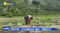 渭南华州：护好秦岭山水 做好“美丽经济”