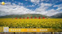 衡舍淮扬菜——匠心守淮味 一席见乾坤