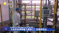 全省单体规模最大植物工厂在榆林投运