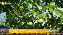 一季度商洛核桃产品出口亚欧美十余国 总值超3700万元
