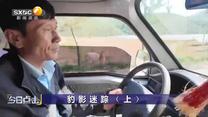 今日点击 (2026-05-19)