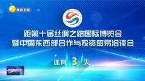 丝博会倒计时3天