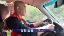 今日点击 (2026-05-20)