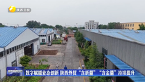 数字赋能业态创新 陕西外贸“含新量”“含金量”持续提升