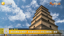 新科技赋能文物保护 西安建筑科技大学给大雁塔做“透视”