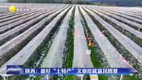 陕西：做好“土特产”文章绘就富民图景