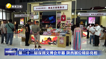 第二十二届深圳文博会开幕 陕西展位精彩亮相