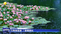 万物渐盈满 三秦夏韵长