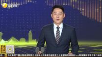 精准对接供需资源 2026国际商协会交流对接会在西安举行