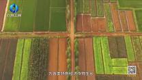 中国农资秀 (2026-05-22)