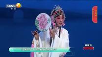 国风秦韵精编版 (2026-05-23)