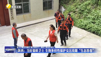 陕西：当好秦岭卫士 生物多样性保护交出亮眼“生态答卷”