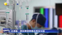 亚洲第二例异种肾移植在西安完成