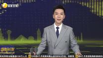 “羽”见丝博：从观赏到“牧鱼” 丝博会上的仿生鱼游向了深海
