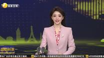 欧美共产党青年干部考察团参访西安