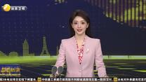 从首例到可复制 西京医院完成亚洲第二例异种肾移植