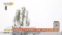 都市快报（2026-05-27）