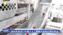 国内首条进口车厘子人工智能分选线在铜川投运