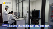 西北大学攻克糖链研究难题 生命科学科研成果落地陕西