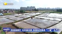 陕南插秧忙 关中备农机  各地有序推进“三夏”生产