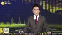 俄罗斯塔斯社代表团走进宝鸡 触摸青铜文明 向世界讲好中国故事