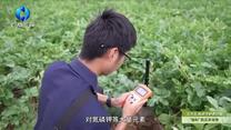 中国农资秀（2026-06-01）