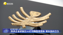 陕西企业研制出3D打印胸肋骨假体 填补国内空白