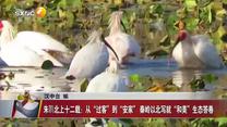 晚间新闻站（2026-06-03）