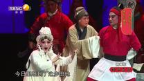 国风秦韵精编版（2026-06-03）