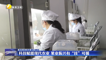 科技赋能现代农业 果业振兴有“技”可循