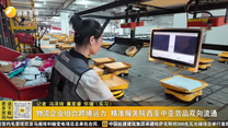 物流企业组合跨境运力 精准服务陕西至中亚货品双向流通