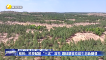 榆林：科技赋能“三北”攻坚 增绿增收绘就生态新图景