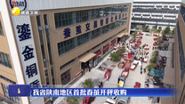 我省陕南地区首批春茧开秤收购