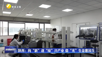 陕西：向“新”逐“绿”兴产业 借“光”生金惠民生