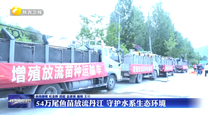 54万尾鱼苗放流丹江 守护水系生态环境