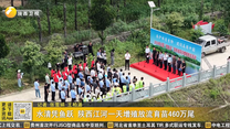水清凭鱼跃 陕西江河一天增殖放流育苗460万尾