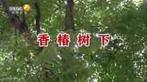 百家碎戏 (2026-06-09)