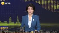 出口量翻倍增长 陕茶借力茶博会加速出海