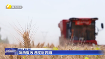 陕西夏收进度近四成