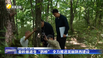 秦岭廊道变“鹊桥” 全力推进美丽陕西建设