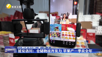 延安洛川：仓储物流齐发力 苹果产一季卖全年