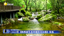 2025年《陕西省生态环境状况公报》发布