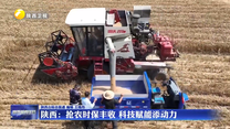 陕西：抢农时保丰收 科技赋能添动力