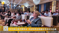 中外旅行商齐聚西安 共赴陕西文旅盛会寻求合作机遇