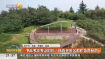 都市快报 (2026-06-12)