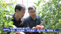 商洛：科技创新“点石成金” 低空经济“蓄势起飞”